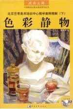 北京艺考美术培训中心教学案例精解  下  色彩静物