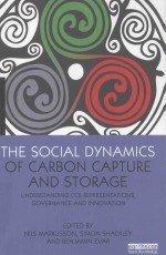 <em>THE</em> SOCIAL DYNAMICS OF CARBON CAPTURE AND STORAGE UNDERSTANDING CCS REPRESENTATIONS