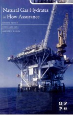 NATURAL GAS HYDRATES <em>IN</em> FLOW ASSURANCE