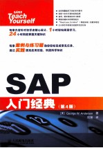 <em>SAP</em>入门经典  第4版