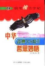 中华古典名句精萃钢笔楷书字帖  哲思妙悟