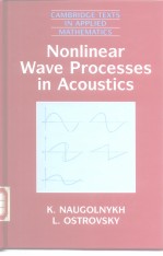 Nonlinear Wave Processes in Acoustics