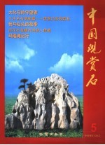 中国观赏石  5