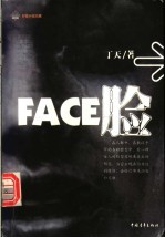 脸  长篇小说
