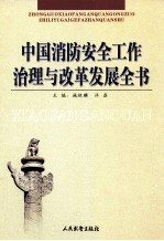 中国消防安全工作治理与改革发展全书  3