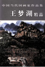 中国当代国画家作品集  <em>王</em>梦湖精品