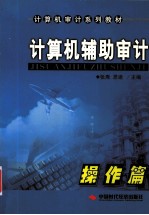 <em>计<em>算机</em></em>辅助审计  <em>操作</em>篇