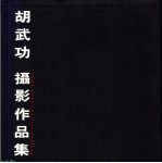 胡武功<em>摄</em>影作品集  1981-1990
