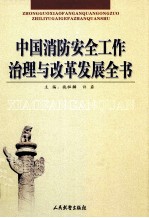 中国消防安全工作治理与改革发展全书  2