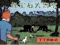 丁丁历险记  绿宝石失窃案  下