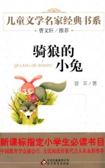 骑狼<em>的小</em>兔