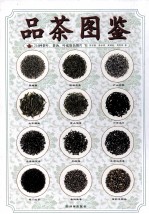 品茶图鉴  214种茶叶  茶汤  叶底原色图片