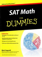 sat <em>math</em> for dummies