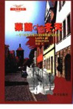 <em>莱茵</em>de冬天 一个18岁男孩在德国的留学故事