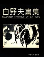 <em>白</em>野夫画集