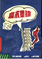 <em>魔术</em>集锦