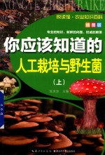 你应该知道的人工栽培与野生菌  上