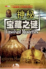 新编青少年探索百科  神秘宝藏之谜