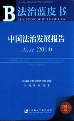 中国法治发展报告  No.12 2014