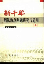 新千年刑法热点问题研究与适用  下