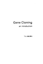 Gene Cloning an <em>introduction</em>