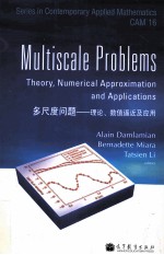 MULTISCALE PROBLEMS: <em>THEORY</em>