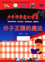 分子王国的魔法