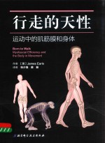 行走<em>的</em>天性  运动中<em>的</em>肌筋膜和身体
