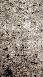 有正味斋试帖<em>诗注</em>  2
