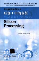 硅加工中的表征  英文