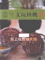 文玩核桃  爱上收藏<em>赚</em><em>大钱</em>