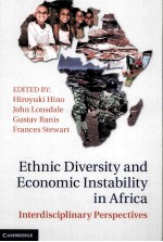ETHNIC DIVERSITY AND ECONOMIC INSTA<em>BI</em>LITY IN AFRICA  INTERDISCIPLINARY PERSPECTIVES