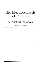 Gel Electrophoresis <em>of</em> Proteins <em>A</em> Pr<em>a</em>ctic<em>a</em>l <em>A</em>ppro<em>a</em>ch <em>SECOND</em> <em>EDITION</em>