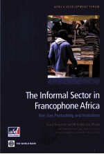 THE <em>IN</em>FORMAL SECTOR <em>IN</em> FRANCOPHONE AFRICA  FIRM SIZE