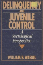 DELINQUENCY AND JUVENILE <em>CONTROL</em>