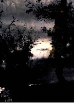 中国近现代名家画集  <em>宋雨</em>桂