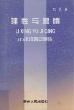 理性与激情  上  小说的可能性