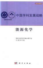 中国学科发展战略  能源化学