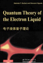<em>QUANTUM</em> <em>THEORY</em> OF THE ELECTRON LIQUID