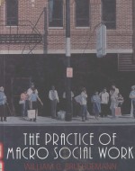 THE PRACTICE OF <em>MACRO</em> SOCIAL WORK