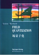 场量子化