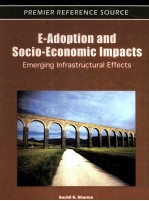 E-Adoption <em>and</em> Socio-Economic Impacts:Emerging Infrastructural Effects