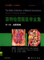 奈特绘图版医学全集  原书第2版  第5卷  泌尿系统