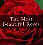 <em>THE</em> MO<em>S</em>T BEAUTIFUL RO<em>S</em>E<em>S</em>
