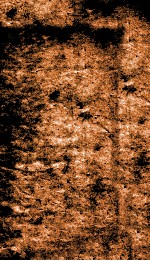 潘刻五种  <em>5</em>