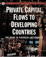 PRIVATE CAPITAL FLOWS TO DEVELOPING COUNTRIES  THR ROAD TO <em>FINANCIAL</em> INTEGRATION