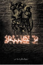 英友贾尼别克  长篇小说  哈萨克文