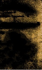 OXI<em>DA</em>TION OF O<em>RG</em>ANIC COMPOUN<em>DS</em> VOLUME II A<em>DV</em>ANCES IN CHEMIST<em>RY</em> SE<em>RI</em>ES 76
