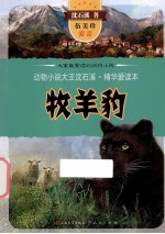 动物小说大王<em>沈</em><em>石溪</em>精华爱读本  牧羊豹