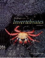 BIOLOGY <em>OF</em> THE INVERTEBRATES THIRD <em>EDITION</em>